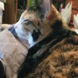 Meet your Posher, Allesondra